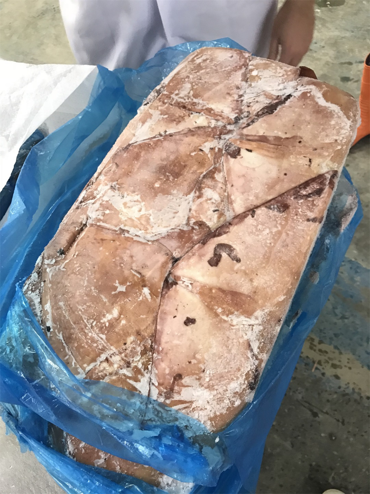 凍煮魷魚(yú)耳 FROZEN BOILED GIANT SQUID WINGS