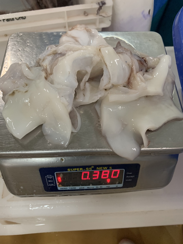 煙臺進(jìn)口秘魯魷魚 (1).jpg